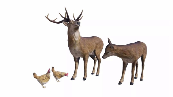 刺激战场烹饪烤肉方法介绍,第2张