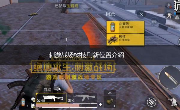 刺激战场树枝刷新位置介绍,第1张