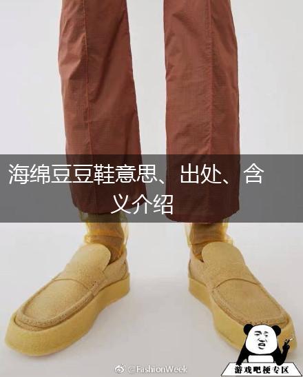 海绵豆豆鞋意思、出处、含义介绍,第1张