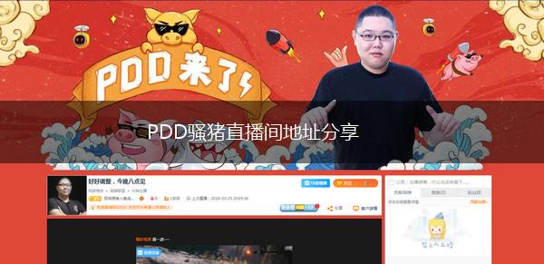 PDD骚猪直播间地址分享,第1张