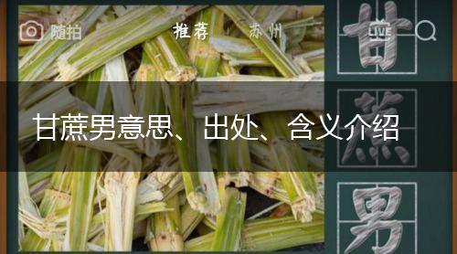 甘蔗男意思、出处、含义介绍,第1张