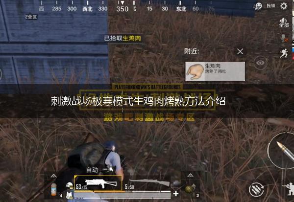 刺激战场极寒模式生鸡肉烤熟方法介绍,第1张