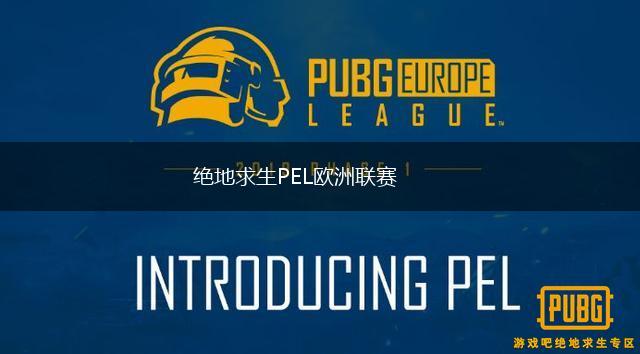 绝地求生PEL欧洲联赛,第1张