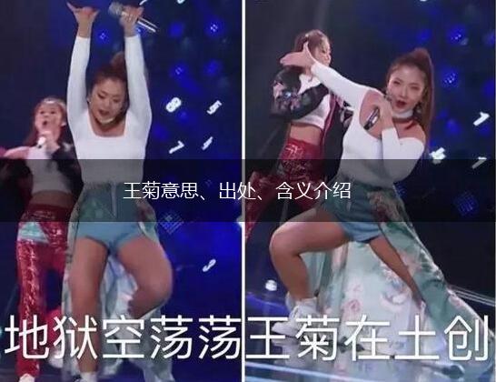 王菊意思、出处、含义介绍,第1张