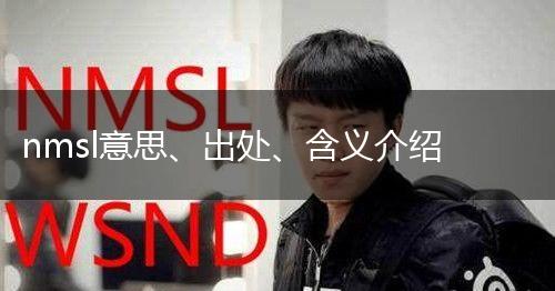 nmsl意思、出处、含义介绍,第1张