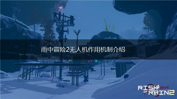 雨中冒险2无人机作用机制介绍,第1张