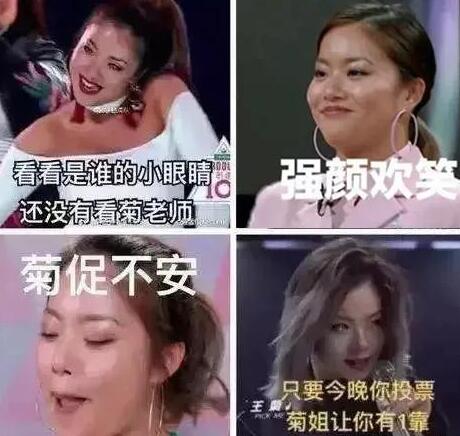 王菊意思、出处、含义介绍,第2张