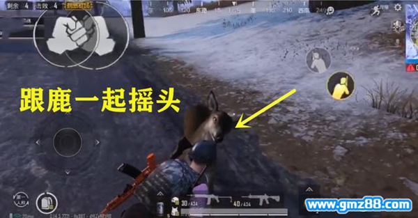 刺激战场摇头鹿刷新位置介绍,第2张