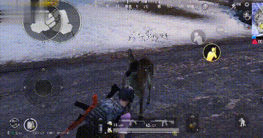 吃鸡手游摇头鹿刷新位置介绍,第3张