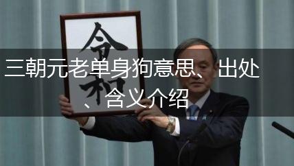 三朝元老单身狗意思、出处、含义介绍,三朝元老单身狗这是什么梗 三朝元老单身狗什么意思,第1张