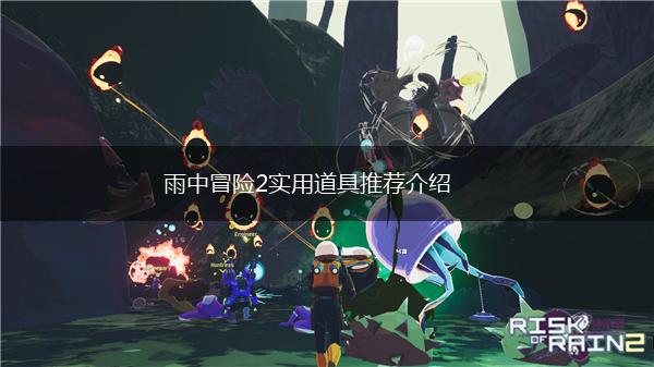 雨中冒险2实用道具推荐介绍,第1张