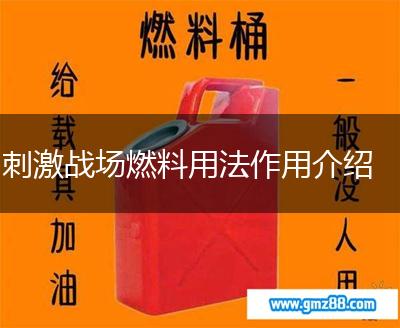 刺激战场燃料用法作用介绍,第1张
