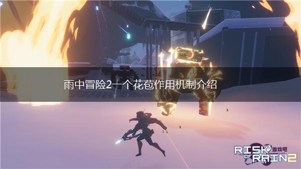 雨中冒险2一个花苞作用机制介绍,第1张