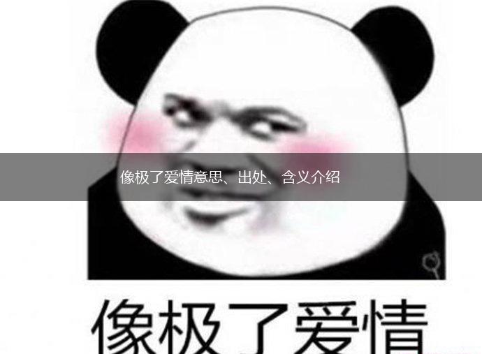 像极了爱情意思、出处、含义介绍,第1张