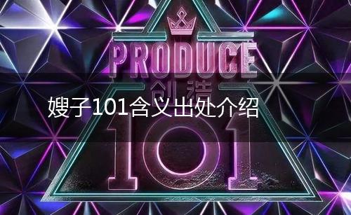 嫂子101含义出处介绍,第1张