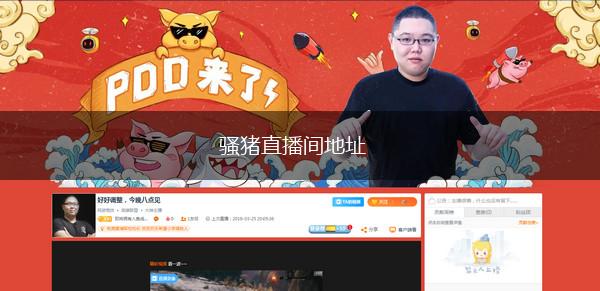 骚猪直播间地址,第1张