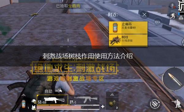 刺激战场树枝作用使用方法介绍,第1张