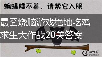 最囧烧脑游戏绝地吃鸡求生大作战20关答案,第1张