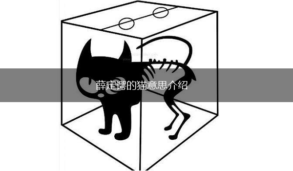 薛定谔的猫意思介绍,第1张