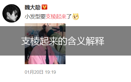 支棱起来的含义解释,第1张 支棱起来的含义解释,第1张