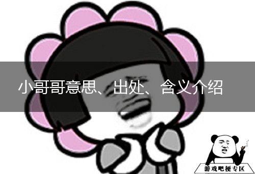 小哥哥意思、出处、含义介绍,第1张