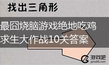 最囧烧脑游戏绝地吃鸡求生大作战10关答案,第1张