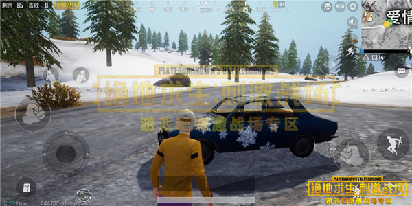 刺激战场雪花皮肤载具图片一览,第3张