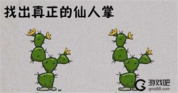 最囧烧脑游戏绝地吃鸡求生大作战攻略大全,第6张