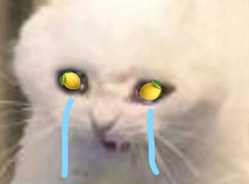 我酸了意思、出处、含义、表情包,第4张