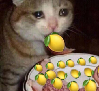 我酸了意思、出处、含义、表情包,第5张