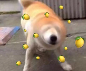 我酸了意思、出处、含义、表情包,第2张