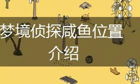 梦境侦探咸鱼位置介绍,第1张