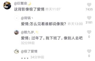 像极了爱情意思、含义、出处介绍,第2张