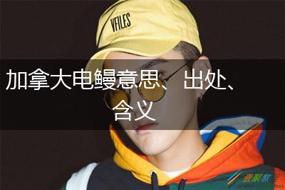 加拿大电鳗意思、出处、含义,第1张