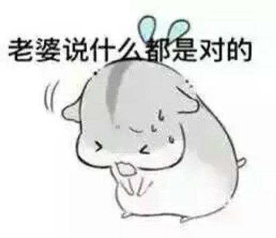 马子狗意思、出处、含义介绍,第2张