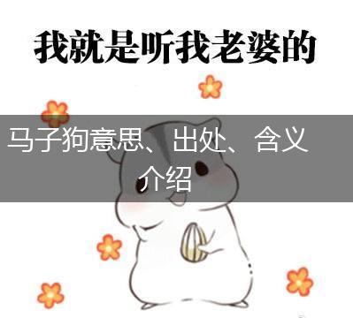 马子狗意思、出处、含义介绍,第1张