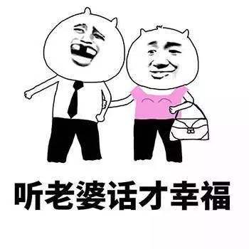 马子狗意思、出处、含义介绍,第3张