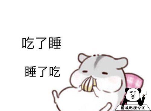 人的本质是仓鼠意思、出处、含义介绍,第3张 人的本质是仓鼠意思、出处、含义介绍,第3张