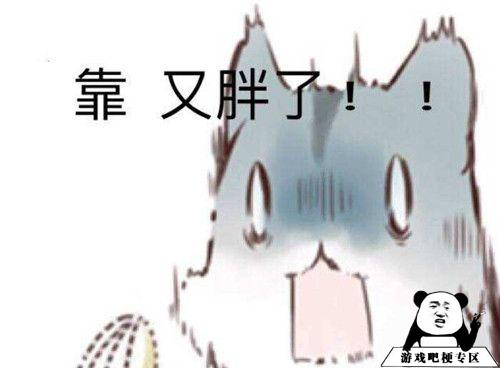 人的本质是仓鼠意思、出处、含义介绍,第4张 人的本质是仓鼠意思、出处、含义介绍,第4张