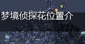 梦境侦探花位置介绍,第1张