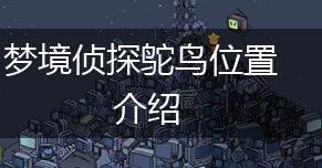 梦境侦探鸵鸟位置介绍,第1张