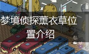 梦境侦探薰衣草位置介绍,第1张