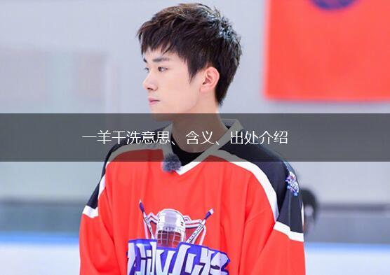 一羊千洗意思、含义、出处介绍,第1张