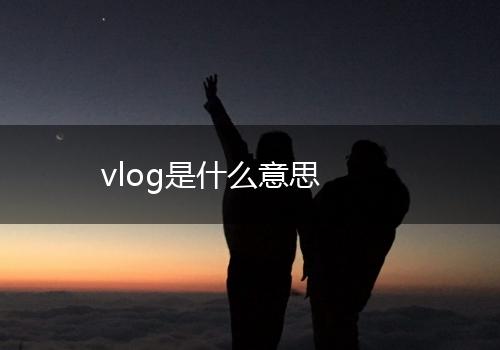 vlog是什么意思,第1张