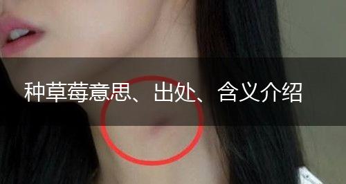 种草莓意思、出处、含义介绍,第1张