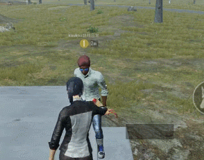 刺激战场浪漫玫瑰花束使用方法介绍,第4张