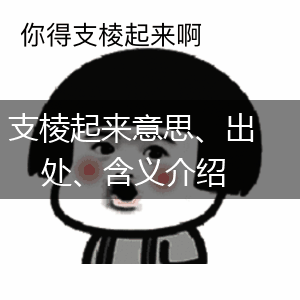 支棱起来意思、出处、含义介绍,第1张